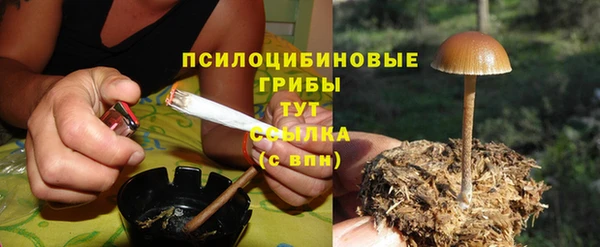 бошки Кукмор