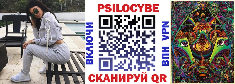 Галлюциногенные грибы Psilocybine cubensis как найти закладки Озёрск